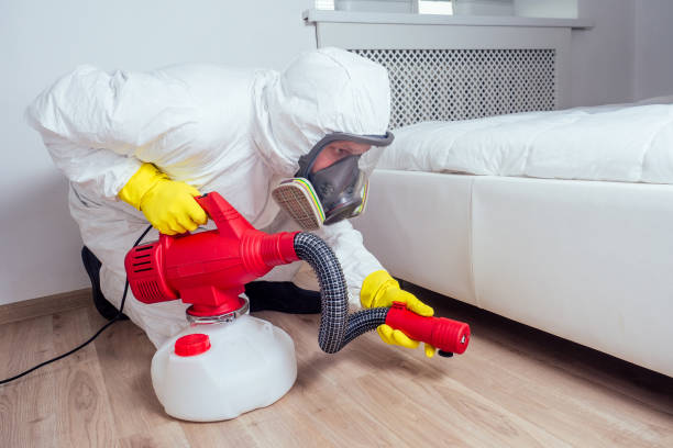 Professional Pest control in Lamont, MI